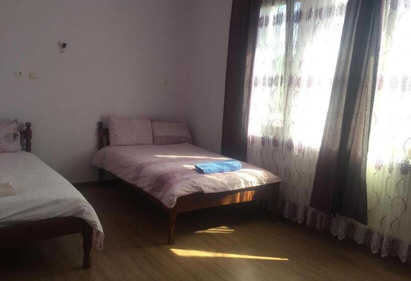 标准间, Guest House Agush