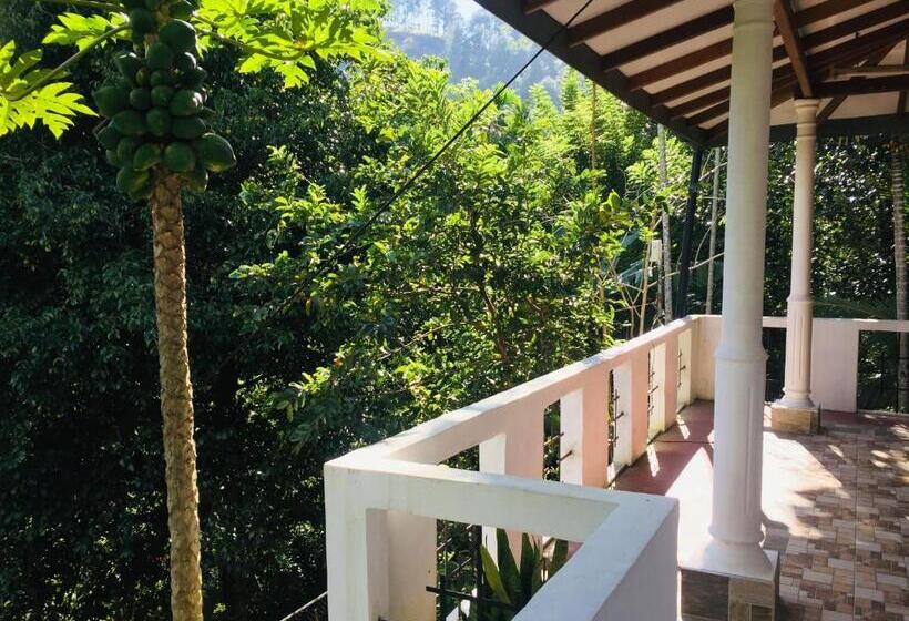Номер Deluxe, New Toropi Homestay