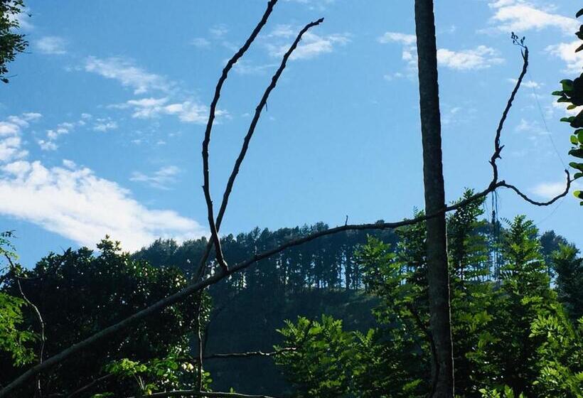 غرفة ديلوكس, New Toropi Homestay