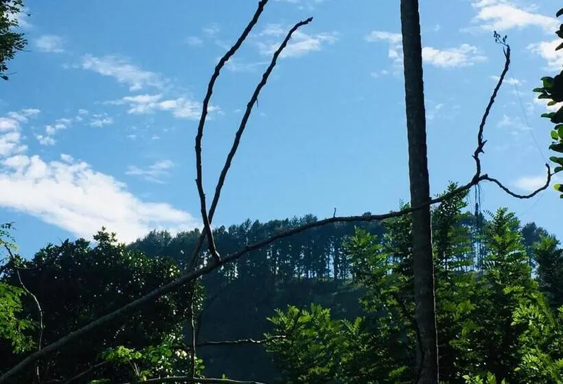 デラックスルーム, New Toropi Homestay