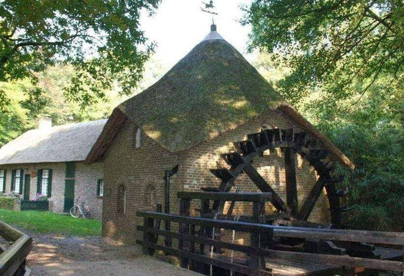 شقة غرفتين, Oeverwoning 4p