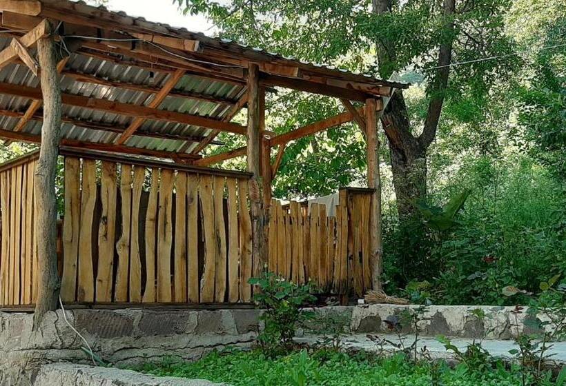 Номер Стандарт Вид на Горы, Bjnihouse, Guest House