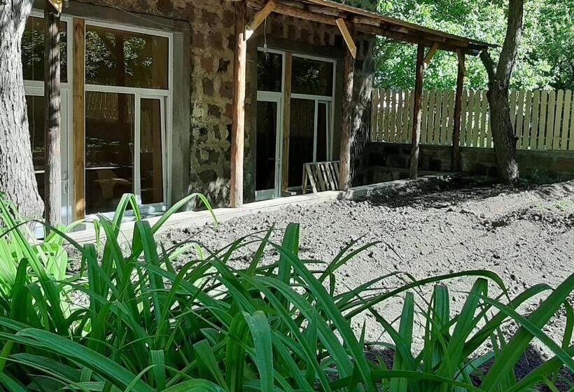 マウンテンビュースタンダードルーム, Bjnihouse, Guest House