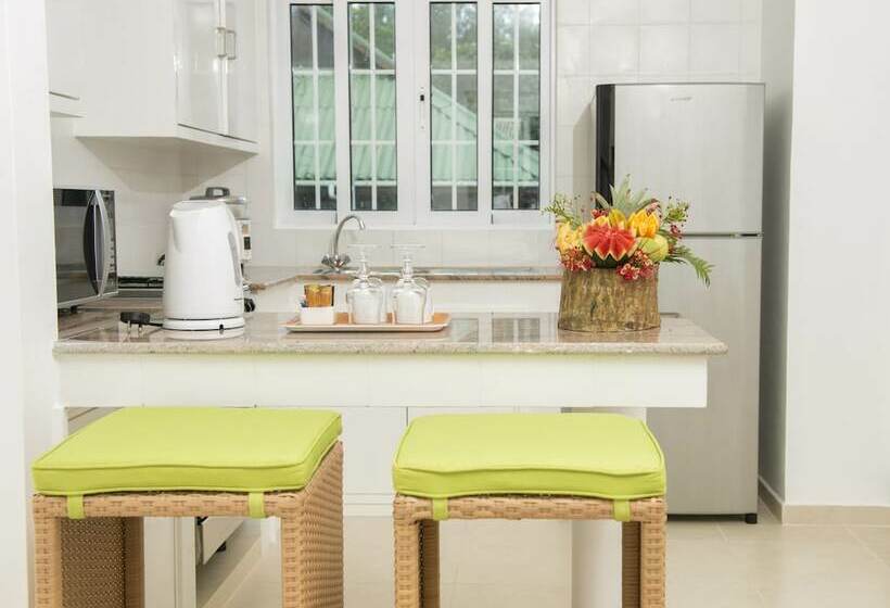 آپارتمان 1 خوابه, Acajou Beach Resort