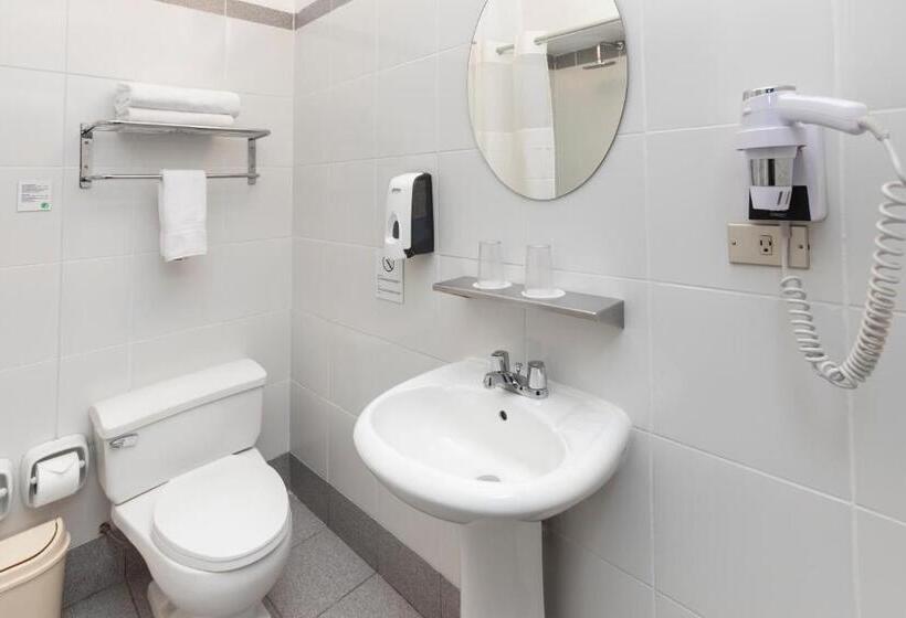 수피리어 룸, Raymi