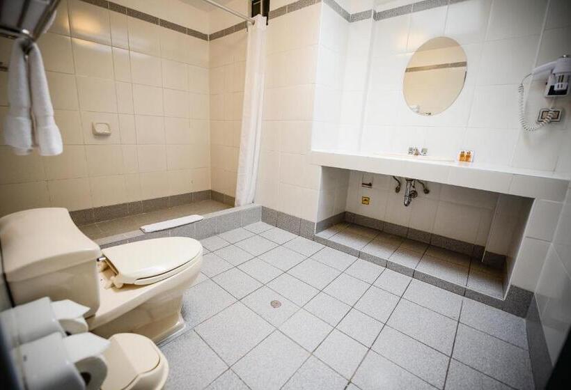 스탠다드 룸, Raymi