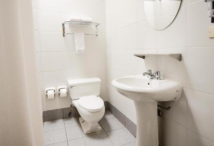 스탠다드 룸, Raymi