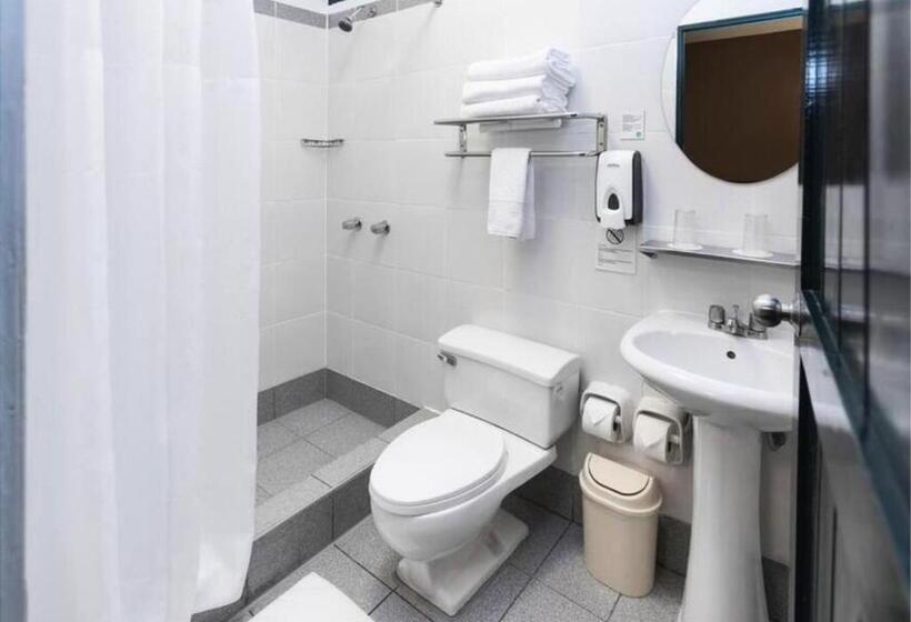 스탠다드 룸, Raymi