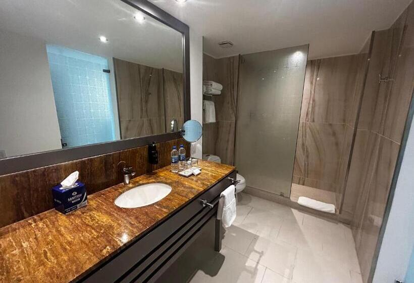 이그제큐티브 룸 킹사이즈 침대, Decapolis Hotel Panama City