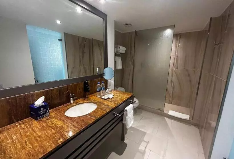 اتاق اجرایی با تخت بزرگ, Decapolis Hotel Panama City