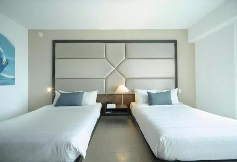 اتاق اجرایی با چشم‌انداز دریا, Decapolis Hotel Panama City