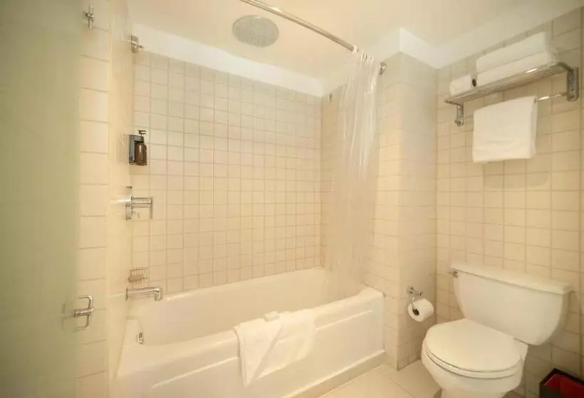 سوئیت جونیور با تخت بزرگ, Decapolis Hotel Panama City