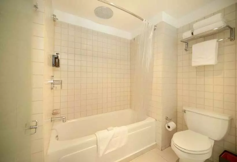 سوییت جونیور با چشم‌انداز دریا, Decapolis Hotel Panama City