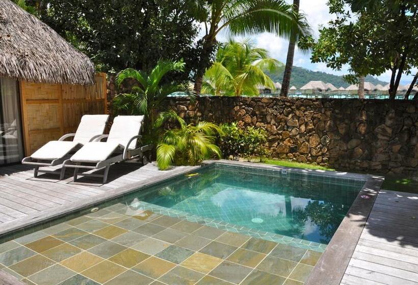 ویلای یک اتاق خوابه با استخر شنا, Le Taha A By Pearl Resorts