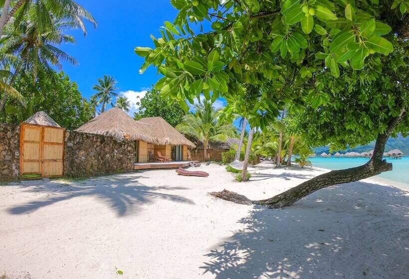 ویلای یک اتاق خوابه با استخر شنا, Le Taha A By Pearl Resorts