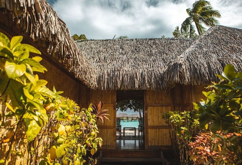 ویلای یک اتاق خوابه با استخر شنا, Le Taha A By Pearl Resorts