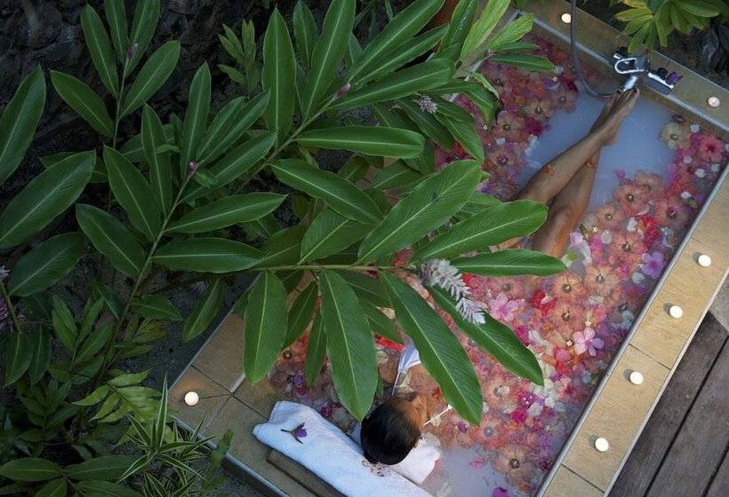 ویلای یک اتاق خوابه با استخر شنا, Le Taha A By Pearl Resorts