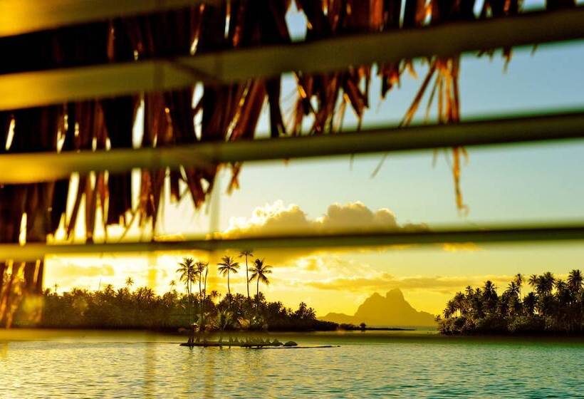 سوئیت با چشمانداز, Le Taha A By Pearl Resorts