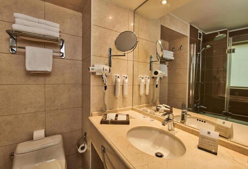 غرفة قياسية سرير كينج, Plaza El Bosque Ebro