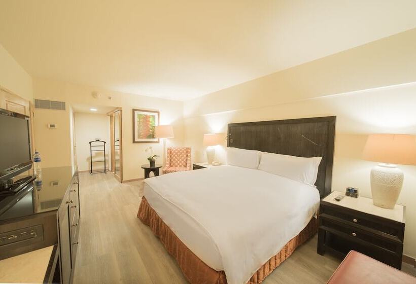Полулюкс, Real Intercontinental San Salvador, An Ihg