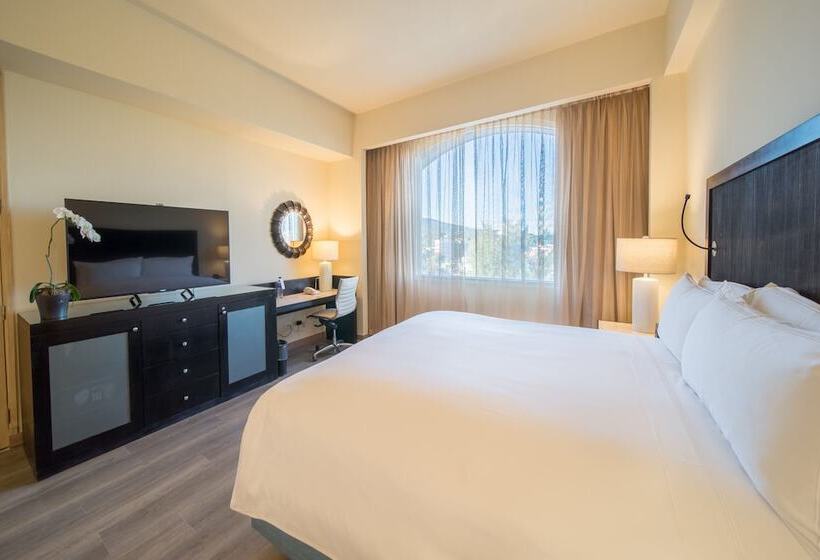 Президентский Люкс, Real Intercontinental San Salvador, An Ihg