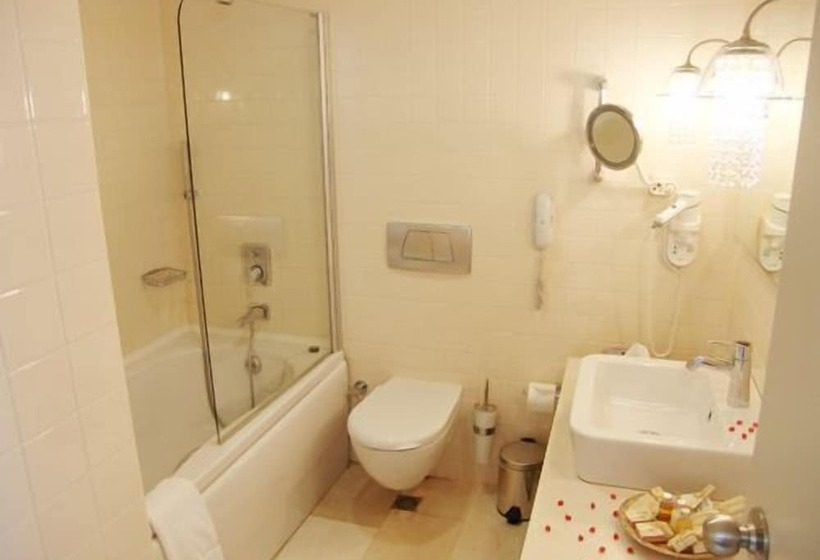 标准间带阳台, Sisus