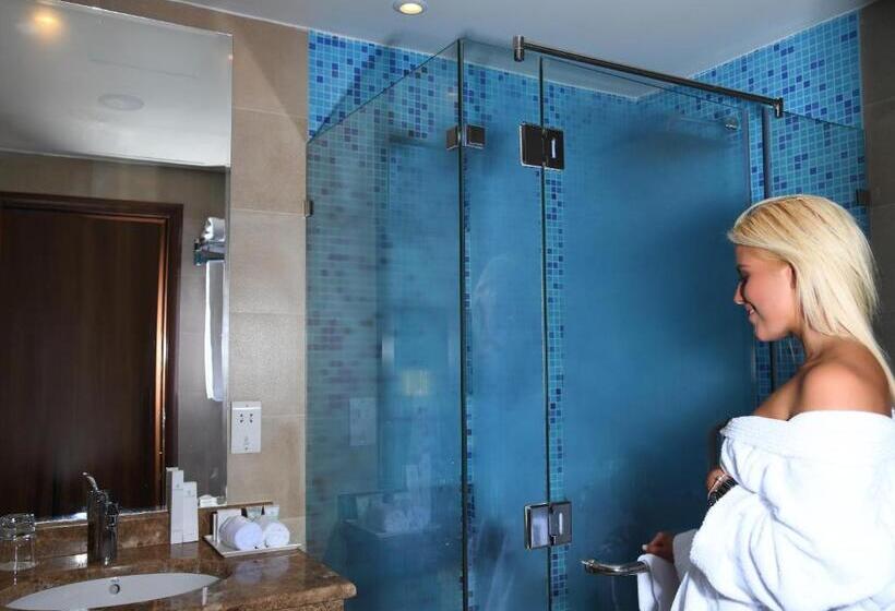 带泳池观景的豪华房, The Palms Beach Hotel And Spa