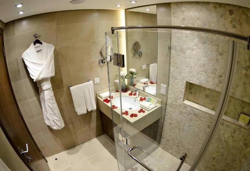 可观景的套房, The Palms Beach Hotel And Spa