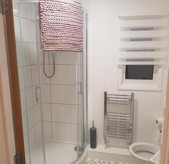 غرفة قياسية, Rosie Flanagan's