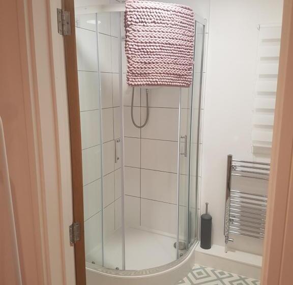 Номер Стандарт, Rosie Flanagan's