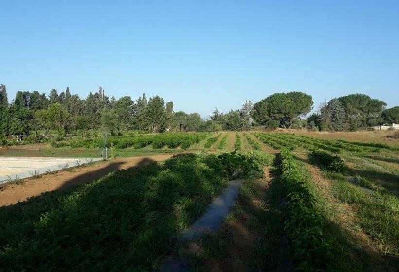 스탠다드 룸 킹사이즈 침대, Azienda Agricola I Peperoncini