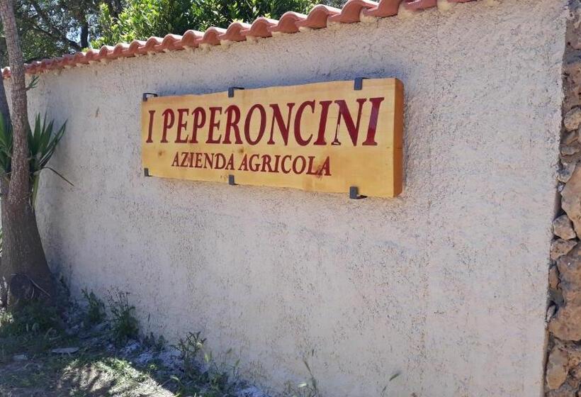 스탠다드 룸 킹사이즈 침대, Azienda Agricola I Peperoncini