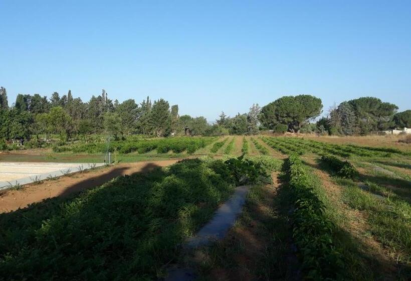 디럭스 트리플 룸, Azienda Agricola I Peperoncini