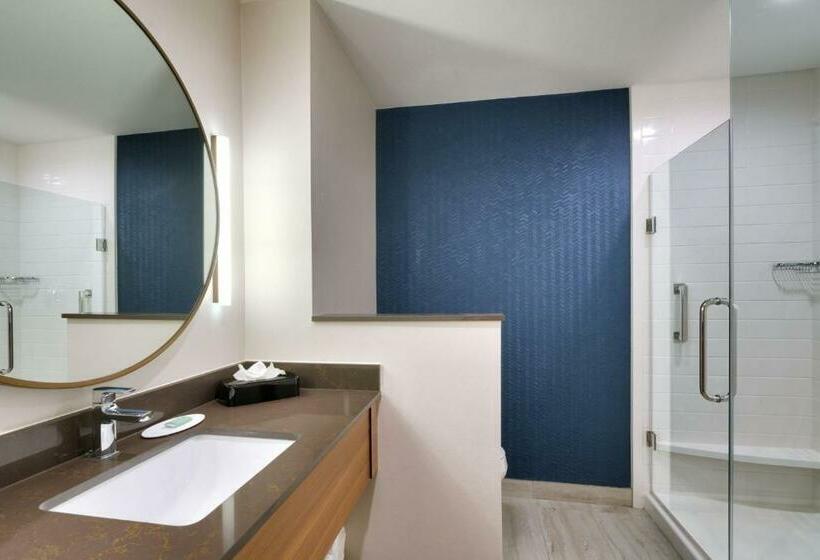 Стандартный Номер Кровать Кинг, Fairfield Inn & Suites By Marriott Houston League City