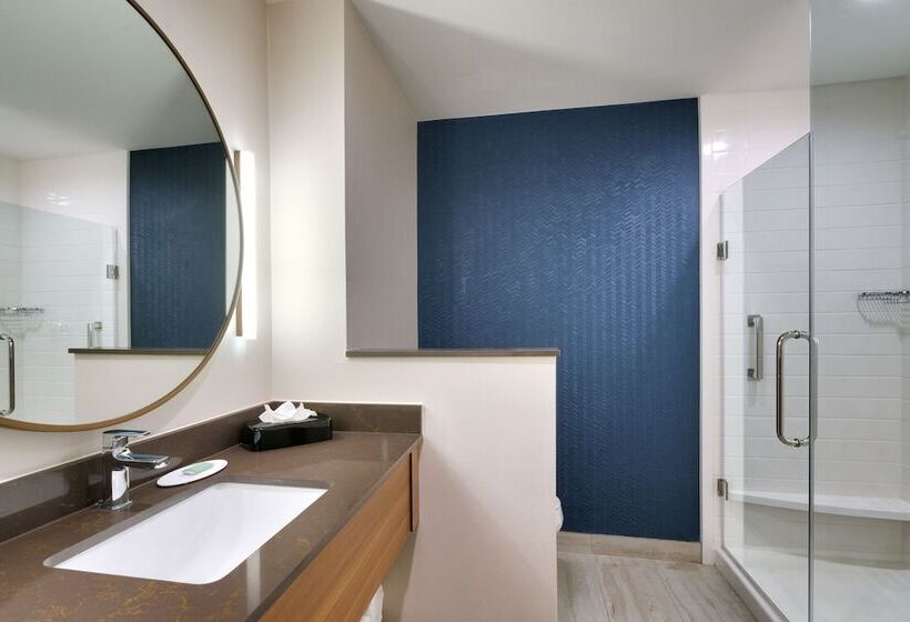 Люкс, Fairfield Inn & Suites By Marriott Houston League City