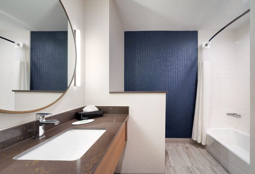 Люкс, Fairfield Inn & Suites By Marriott Houston League City