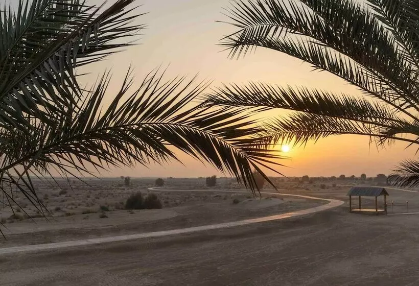 اتاق استاندارد با چشمانداز, Bab Al Shams, A Rare Finds Desert Resort, Dubai