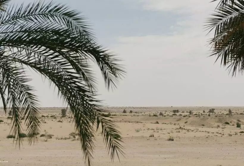 اتاق لوکس با چشمانداز, Bab Al Shams, A Rare Finds Desert Resort, Dubai