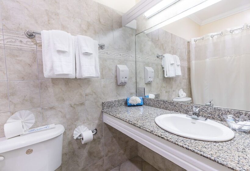 اتاق استاندارد با تخت بزرگ, Bay Gardens