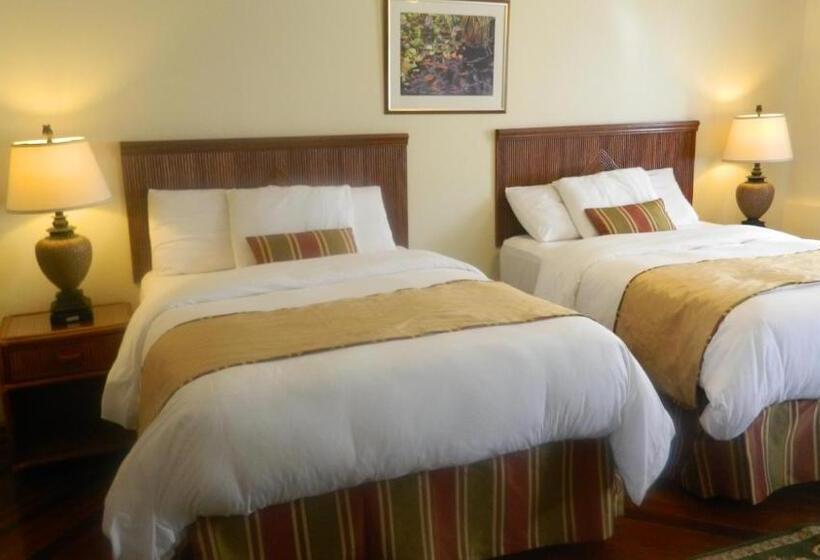 اتاق اجرایی, Cara Lodge