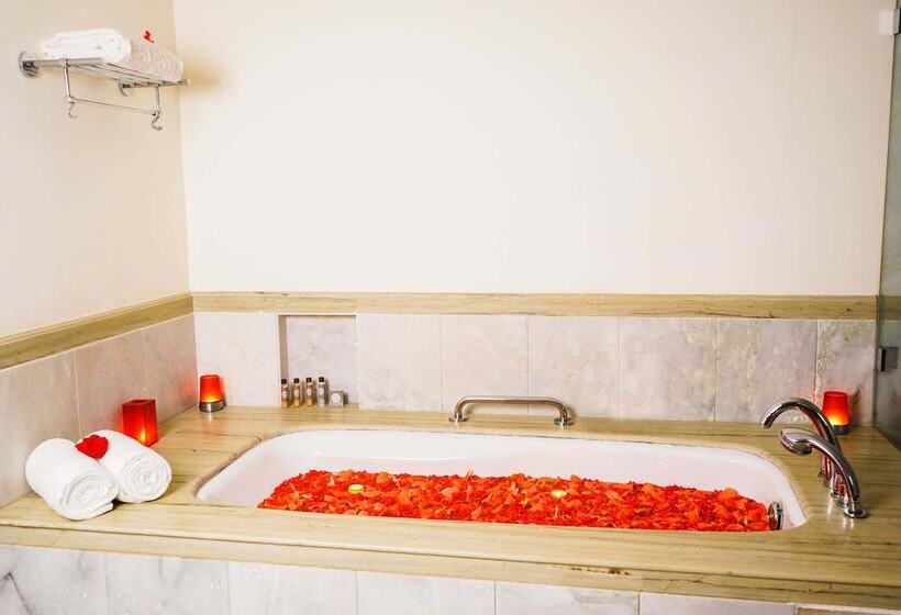 가든 전망 이그제큐티브 룸, Gateway Coonoor