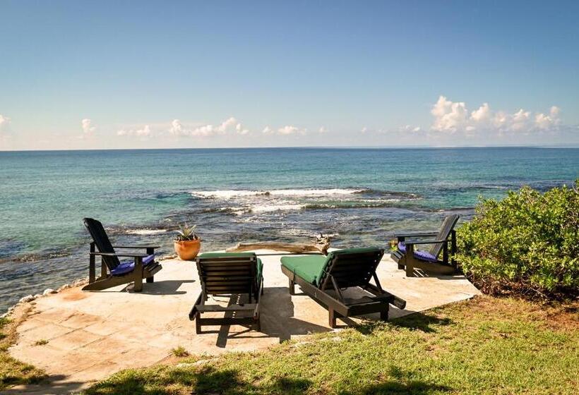 خانه 3 خوابه, Jakes