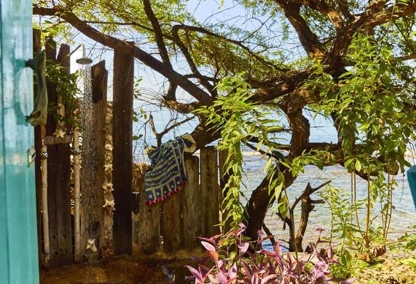 بانگلوی لوکس, Jakes