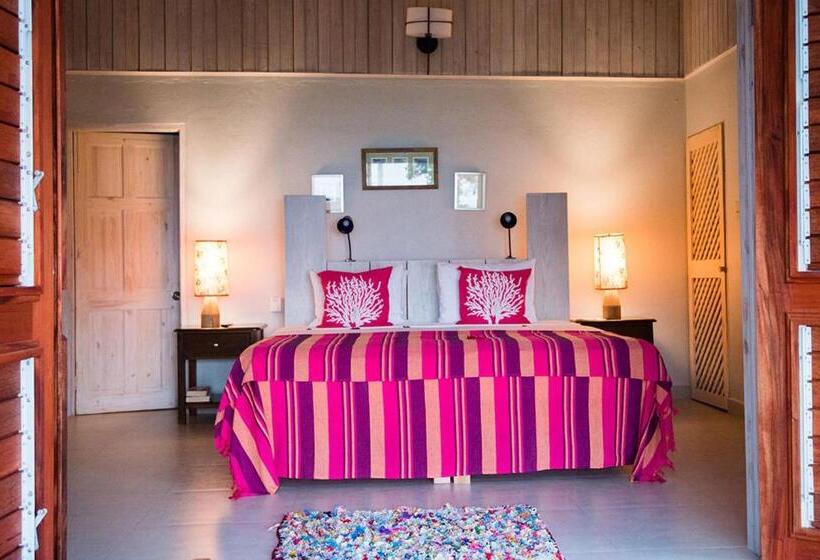 استودیوی استاندارد با چشم‌انداز دریا, Jakes