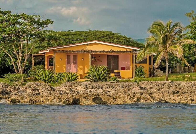 خانه 2 خوابه, Jakes