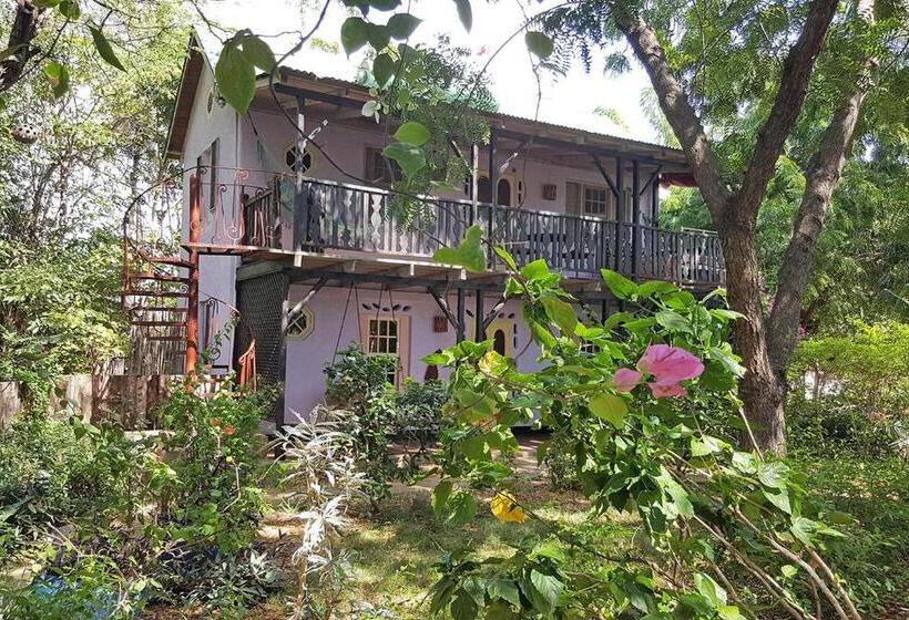 استودیو استاندارد با چشم‌انداز باغ, Jakes