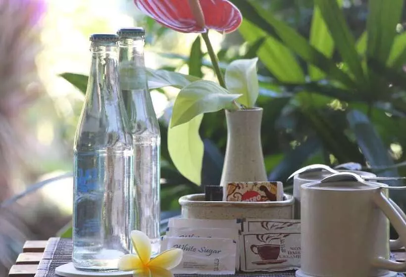 スーペリアールーム, Parigata Resorts And Spa