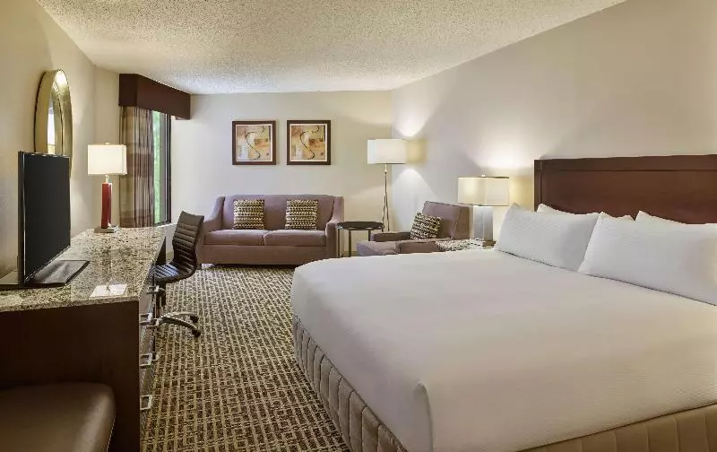 اتاق استاندارد با چشم‌انداز باغ, Sentido Galomar  Adults Only