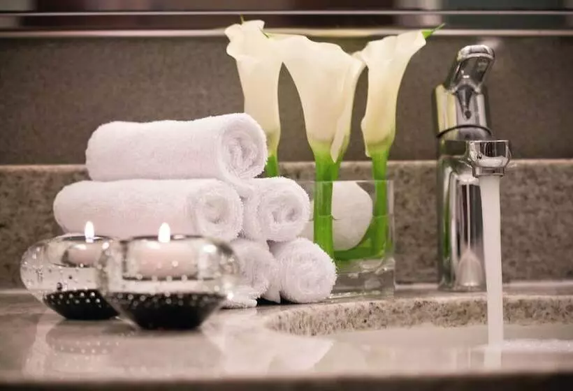 سوییت لوکس, Mövenpick Hotel & Apartments Bur Dubai