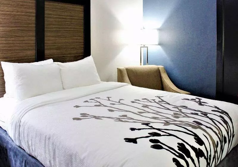 اتاق اجرایی, Mövenpick Hotel & Apartments Bur Dubai